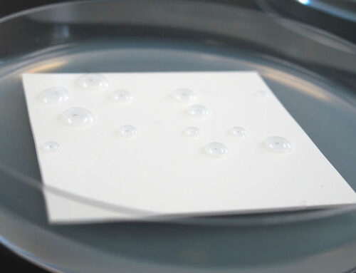 Single-solution coating