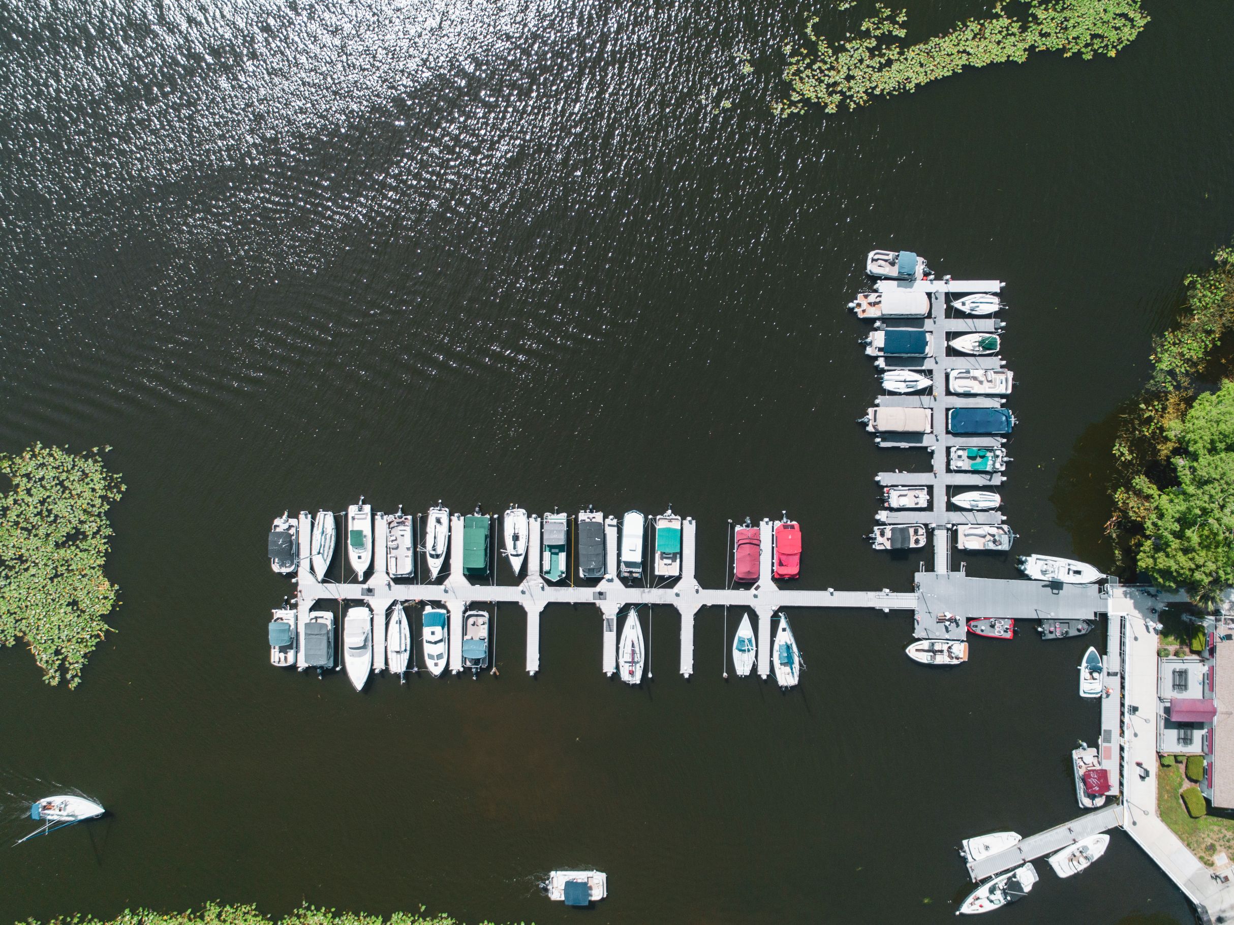 25614-4727-Docks_Infrastructure_Smaller Aerial view of a marina with multiple boats docked along a wooden pier, surrounded by dark water and green lily pads.